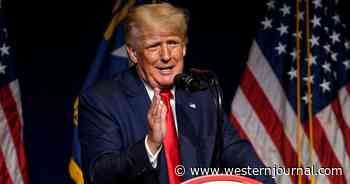 Video: Trump Comes Roaring Back, Demands Reparations from China for COVID