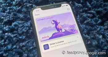 What US states will support Apple Wallet digital Identity Cards?     - CNET