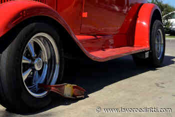 Sospensione cartelle 2021: effetti anche sul fermo amministrativo auto - Lavoro e Diritti