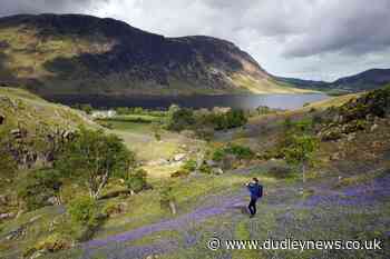 Conservationists call for tenth of national park land to be rewilded - Dudley News