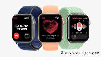Apple’s watchOS 8 packs meditation, tai chi, portraits, and GIF support