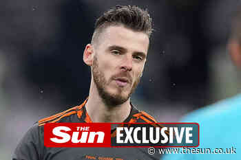 Man Utd keeper David De Gea let down by poor coaching and awful defending, blasts former coach Gabino... - The Sun