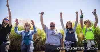 Line 3 opponents turn up the heat with protest, confrontation