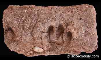 First Tales of the Earliest Domesticated Goats Revealed by 10,000-Year-Old DNA