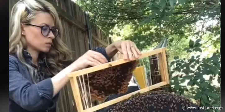 Erika Thompson Responds to Accusations She's A Fake Beekeeper & TikTok is Buzzing!