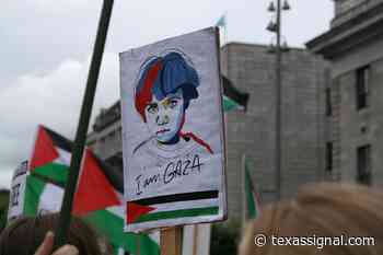 Houston Palestinian organizers speak out - The Texas Signal