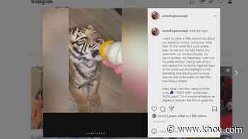 Houston tiger investigation: Victor Cuevas posts new videos of India and reflects on what happened May 9th - KHOU.com