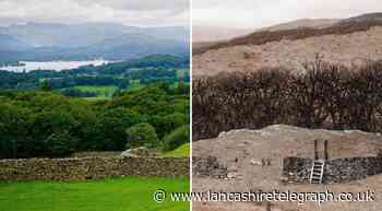 What would the Lake District look like in a world without bees?