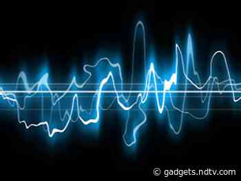 Humans Can Learn Echolocation in 10 Weeks, New Study Shows