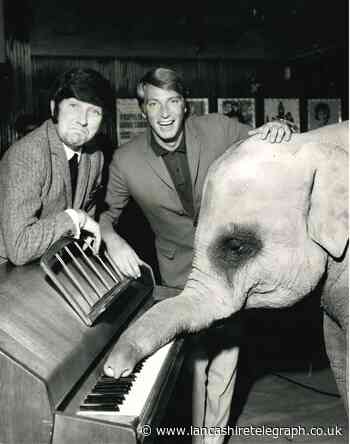 Piano playing elephant and Tarby were wakes weeks attraction