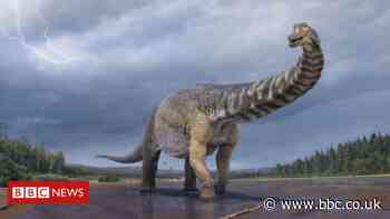 Scientists say new dinosaur species is largest found in Australia