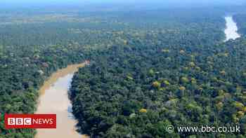 Amazon-dwellers lived sustainably for 5,000 years