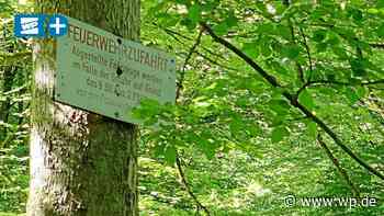Niedereimer: Wald im Wannetal für Wehr schwer zugänglich - WP News