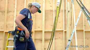 Carpenter faces $15M lawsuit for criticizing sexual harassment comments in construction podcast