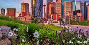 26 distanced things to do in Calgary this week: June 7 to 13 | Listed - Daily Hive
