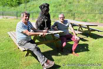 Hondenschool moet wijken voor parkeerplaatsen: “Kil telefoontje”