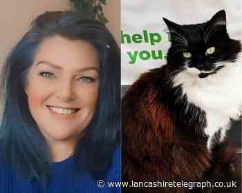 Accrington 'Asda cat' ­— owner's plea after Jerry falls ill