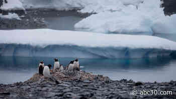 National Geographic recognizes Southern Ocean as Earth's 5th ocean