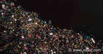 This Plastic Phone Case Could Biodegrade Within 2 Years