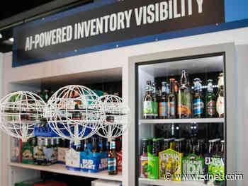 Price check! Big brands turn to in-store drones to peep products