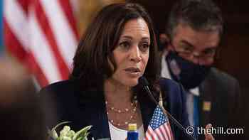 Harris 'not discounting' concerns about events at US border during visit to Latin America
