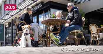 Hessen Hotel- und Gastgewerbe will Fachkräfte zurückholen - Echo Online