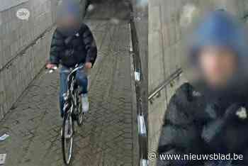 Vrouw van fiets getrokken en verkracht in Lint: verdachte geïdentificeerd
