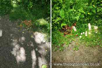 Dog walkers warned as 'toxic' snacks dumped in Westhoughton
