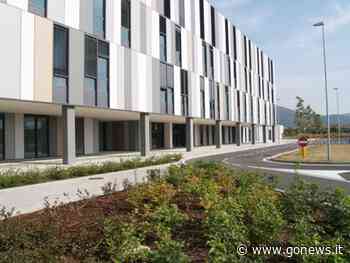 Trattato a Prato il primo caso di ischemia retinica con farmaco trombolitico - gonews