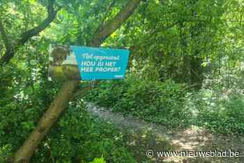 Chirojongens vragen respect voor bos achter lokalen: “Sluikstorten grondig beu”