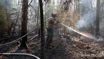 Explosive gender reveal party ignites wildfire near Fort McMurray