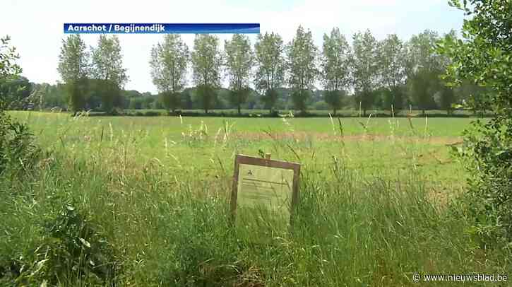 Al 150 bezwaarschriften van buurtbewoners tegen nieuwe aanvraag voor de bouw van twee windturbines aan Nieuwland