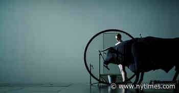 Lyon Dance Biennale Begins, Reduced but Unbowed