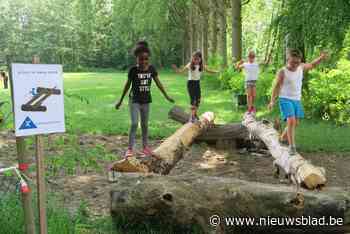 Hindernissenloop Wijnegem: 830 kinderen rennen als antilopen op De Leeuw