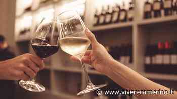 Il Verdicchio di Matelica cambia nome e si evolve: al via l'iter per la nascita del "Matelica Doc" - Vivere Camerino