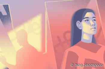 Text – a designer tool