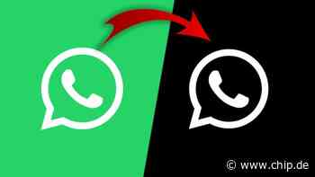 WhatsApp-Neuerung: Dark Mode bekommt einen Neuanstrich - CHIP Online Deutschland