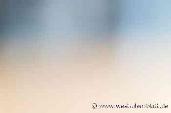 Unfall mit vier Personen auf der B64 zwischen Höxter und Holzminden: Gegen Leitplanke geschleudert: Zwei junge Frauen verletzt ins Krankenhaus - Bad Driburg - Westfalen-Blatt - Westfalen-Blatt