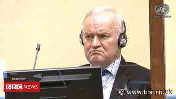 Srebrenica massacre: UN court rejects Mladic genocide appeal