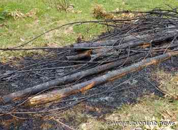 Solofra, vandali a Scorza: bruciato legno per una panchina - Irpinia TV