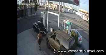 Woman Pumping Gas Gets Shock of a Lifetime as 300-Pound Shirtless Man Leaves Her Motionless on the Ground Before Calmly Walking Away