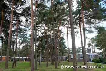 Renovatie moet van Egelsvennen in Mol weer 'mooiste wijk van België' maken - Bouwkroniek