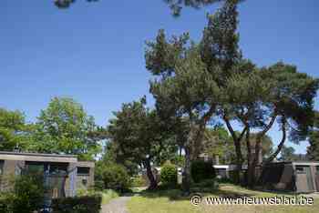 Op bezoek in Egelsvennen, de mooiste wijk van België in 1973: “Als ze niet oppassen, wordt het hier écht een sociale woonwijk” - Het Nieuwsblad