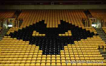 Wolves waiting for Bruno Lage to take decision on transfer business – Player has offer to leave - Sport Witness