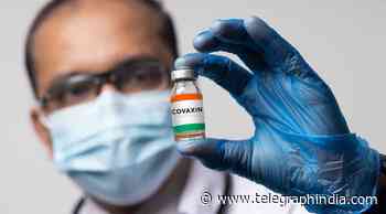 Covid: Covaxin less effective against variant called B.1.617.2 - Telegraph India