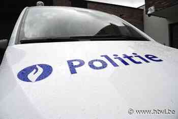 Twee agenten gewond bij schermutseling met vechtersbazen in Diest - Het Belang van Limburg