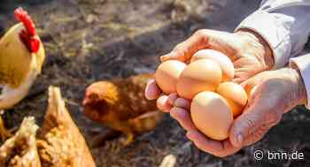 Hofladen und Direktvermarkter rund um Gaggenau & Gernsbach - BNN - Badische Neueste Nachrichten