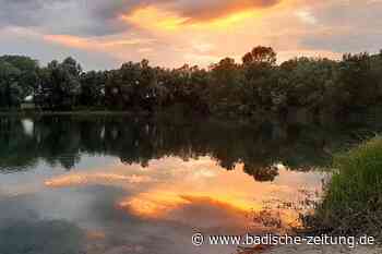 Tote Karpfen – Kenzingen sperrt Nachtallmendsee für Badebetrieb - Kenzingen - Badische Zeitung
