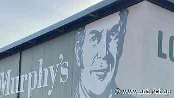 Woolworths and NT government blasted in damning review of Darwin Dan Murphy's proposal