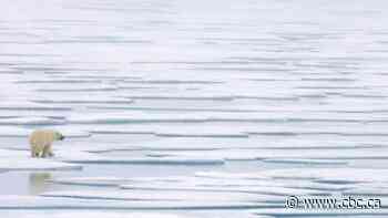 The Liberals' net-zero 'accountability' legislation is on thin ice